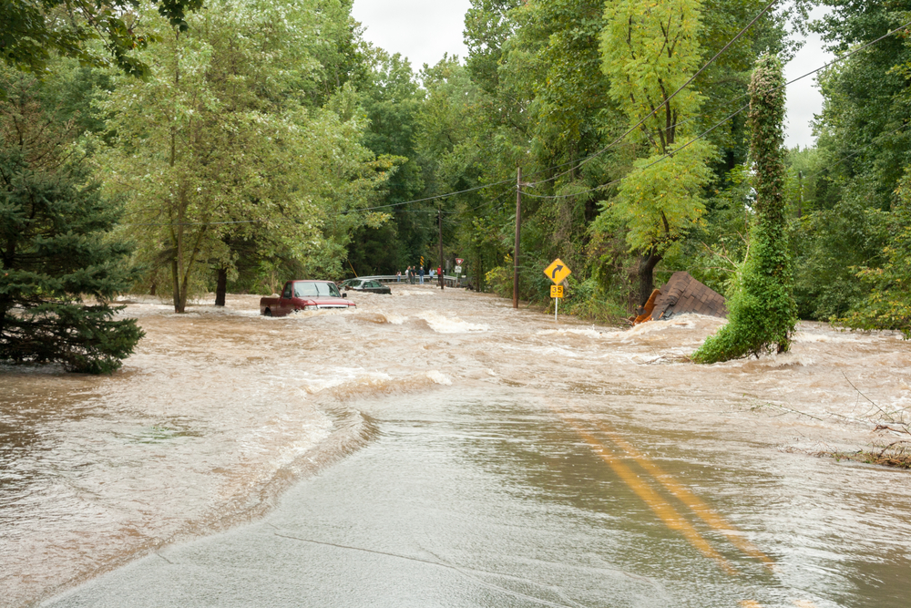 Turn Around Don't Drown®